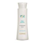   شامپو ضد شوره Anti Dandruff Willow سینره 